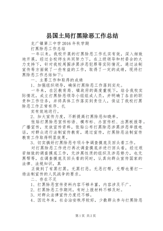 县国土局打黑除恶工作总结