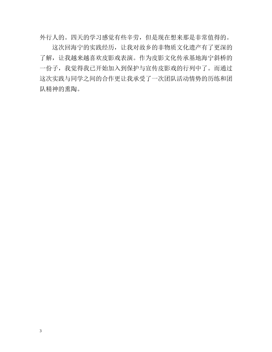 假期实践个人工作总结 _第3页