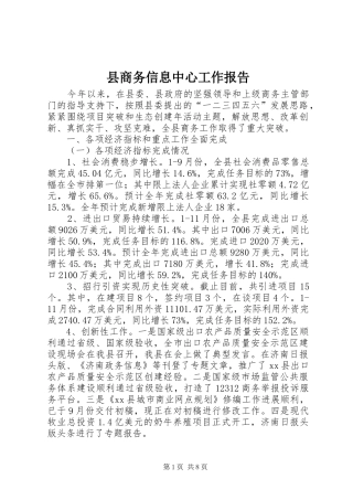 县商务信息中心工作报告