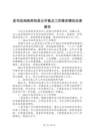 县司法局政府信息公开重点工作落实情况自查报告