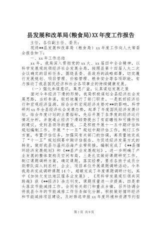 县发展和改革局(粮食局)XX年度工作报告