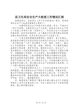县卫生局安全生产大检查工作情况汇报