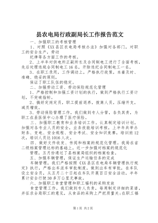 县农电局行政副局长工作报告范文