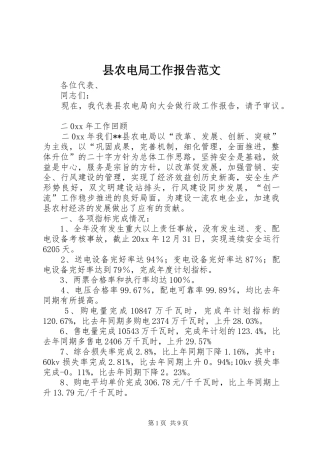 县农电局工作报告范文