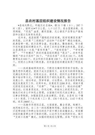 县农村基层组织建设情况报告