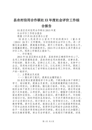 县农村信用合作联社XX年度社会评价工作综合报告