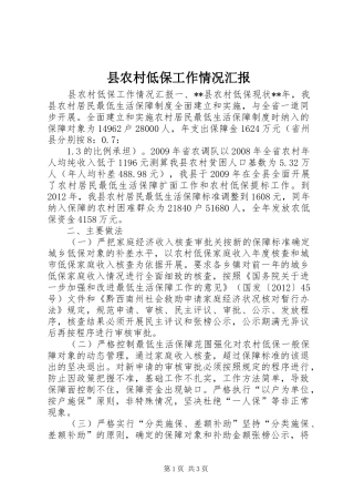 县农村低保工作情况汇报