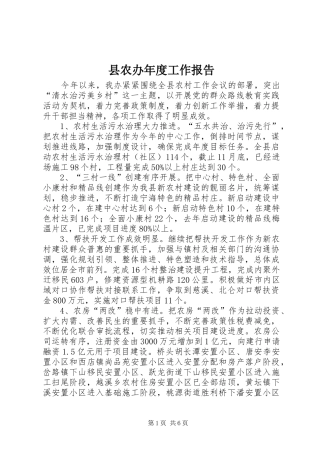 县农办年度工作报告