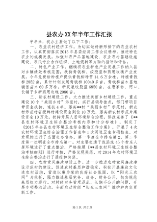县农办XX年半年工作汇报