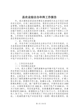 县农业综合办年终工作报告
