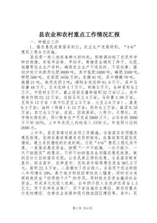 县农业和农村重点工作情况汇报