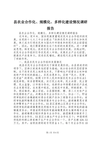 县农业合作化、规模化、多样化建设情况调研报告