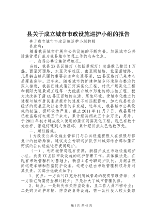 县关于成立城市市政设施巡护小组的报告