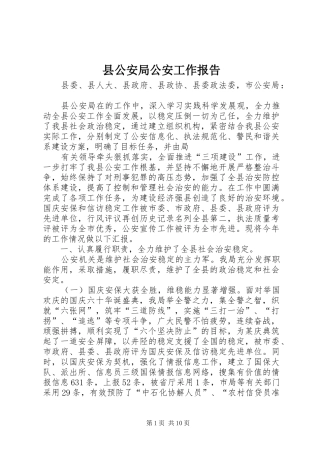 县公安局公安工作报告