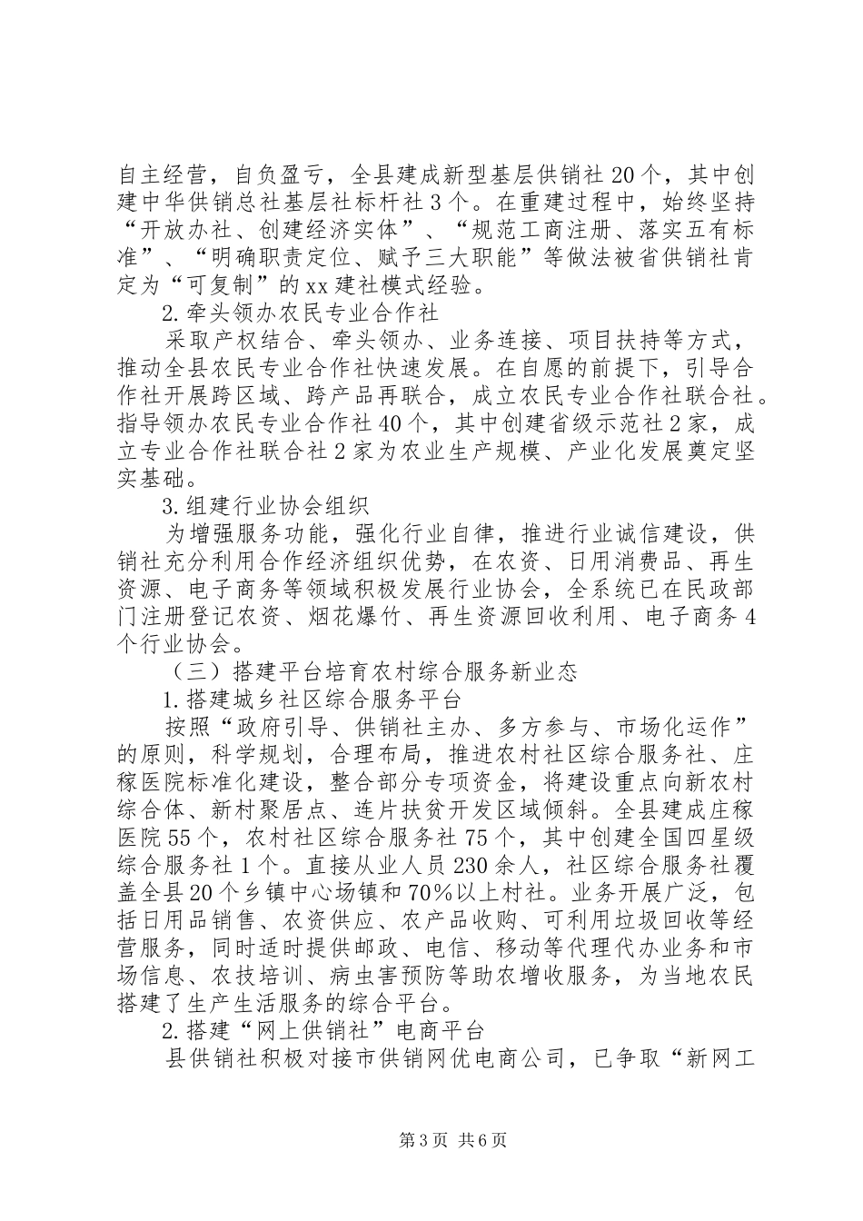 县供销社基层供销社综合改革落实情况的自查报告_第3页