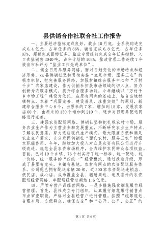 县供销合作社联合社工作报告
