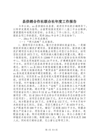 县供销合作社联合社年度工作报告