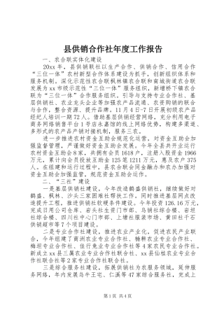 县供销合作社年度工作报告