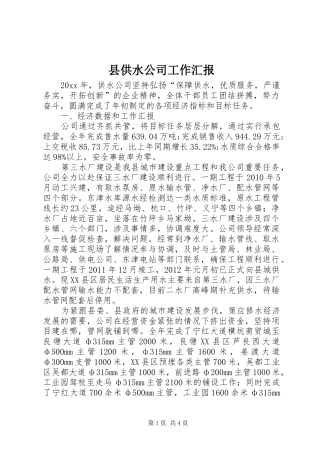 县供水公司工作汇报