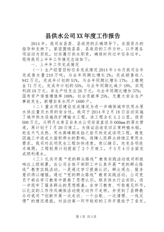县供水公司XX年度工作报告