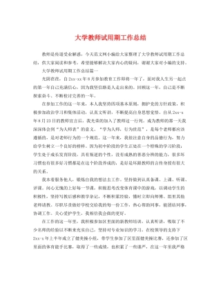 大学教师试用期工作总结 