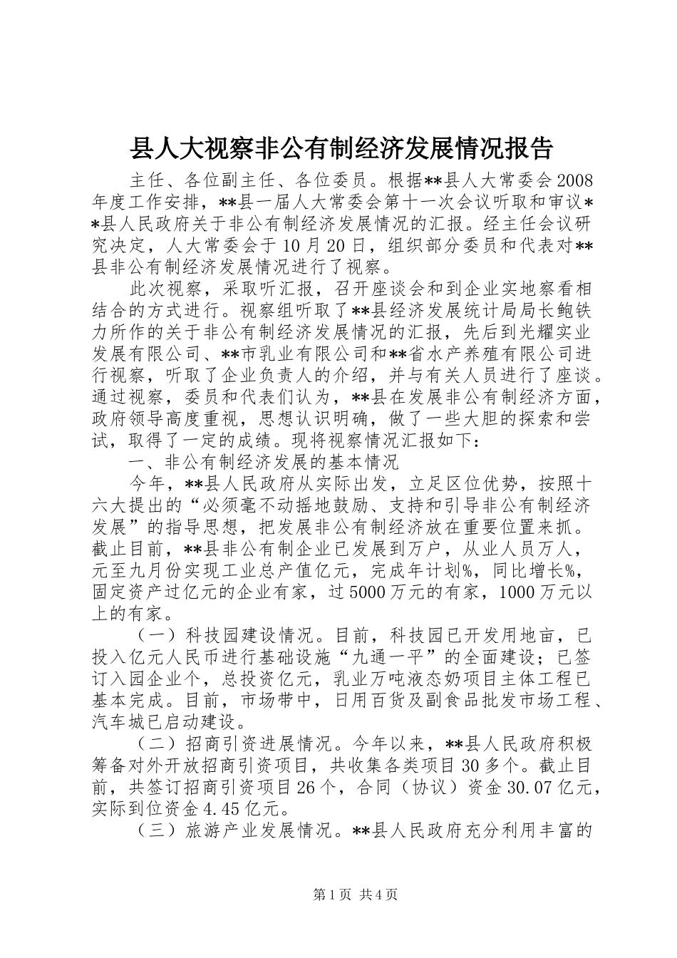 县人大视察非公有制经济发展情况报告_第1页