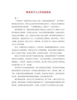 营业员个人工作总结范本 