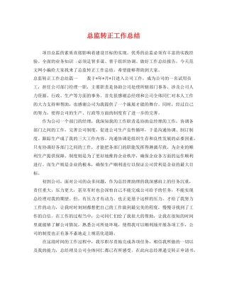 总监转正工作总结 