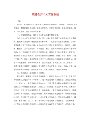 政务公开个人工作总结 