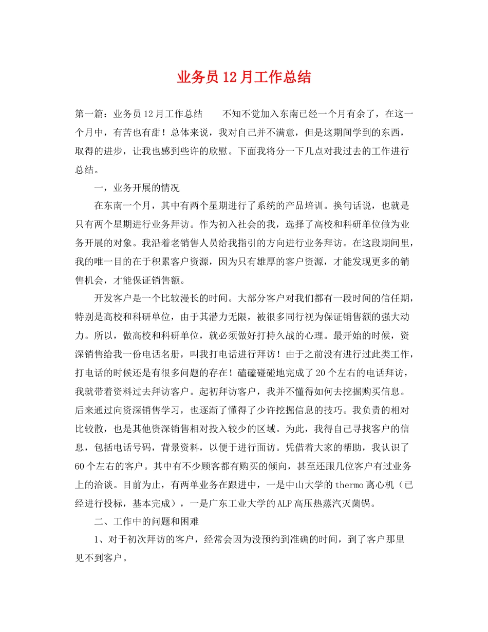 业务员12月工作总结 _第1页