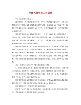 审计人员年度工作总结 