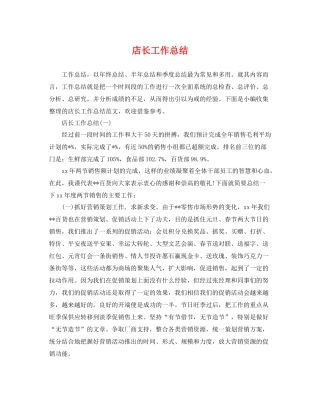 店长工作总结 