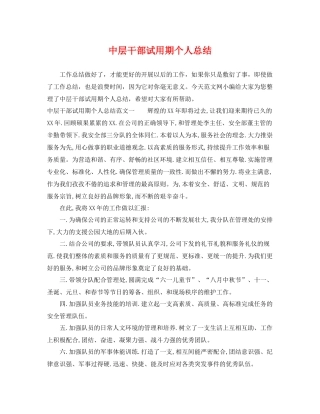 中层干部试用期个人总结 