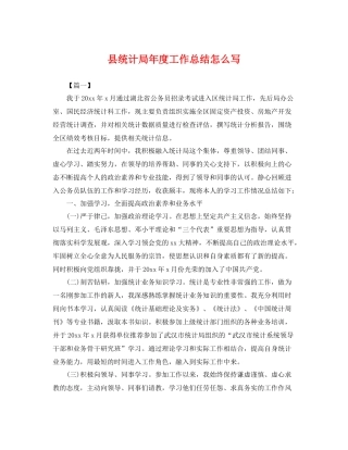 县统计局年度工作总结怎么写 