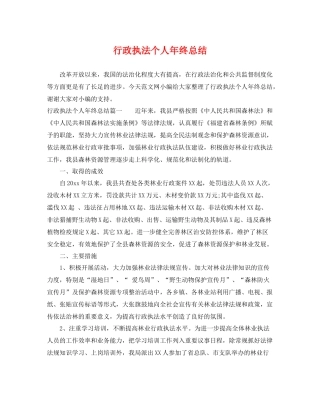 行政执法个人年终总结 