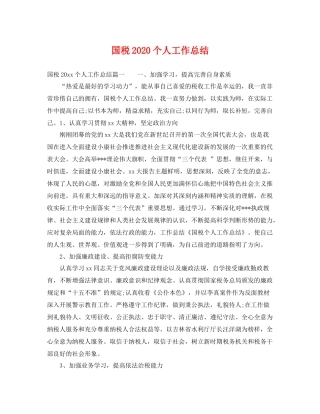 国税2020个人工作总结 
