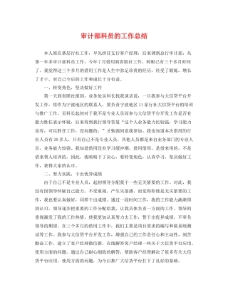 审计部科员的工作总结 