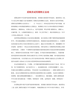 采购员试用期转正总结 