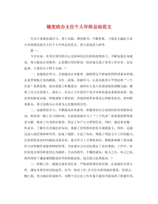 镇党政办主任个人年终总结范文 