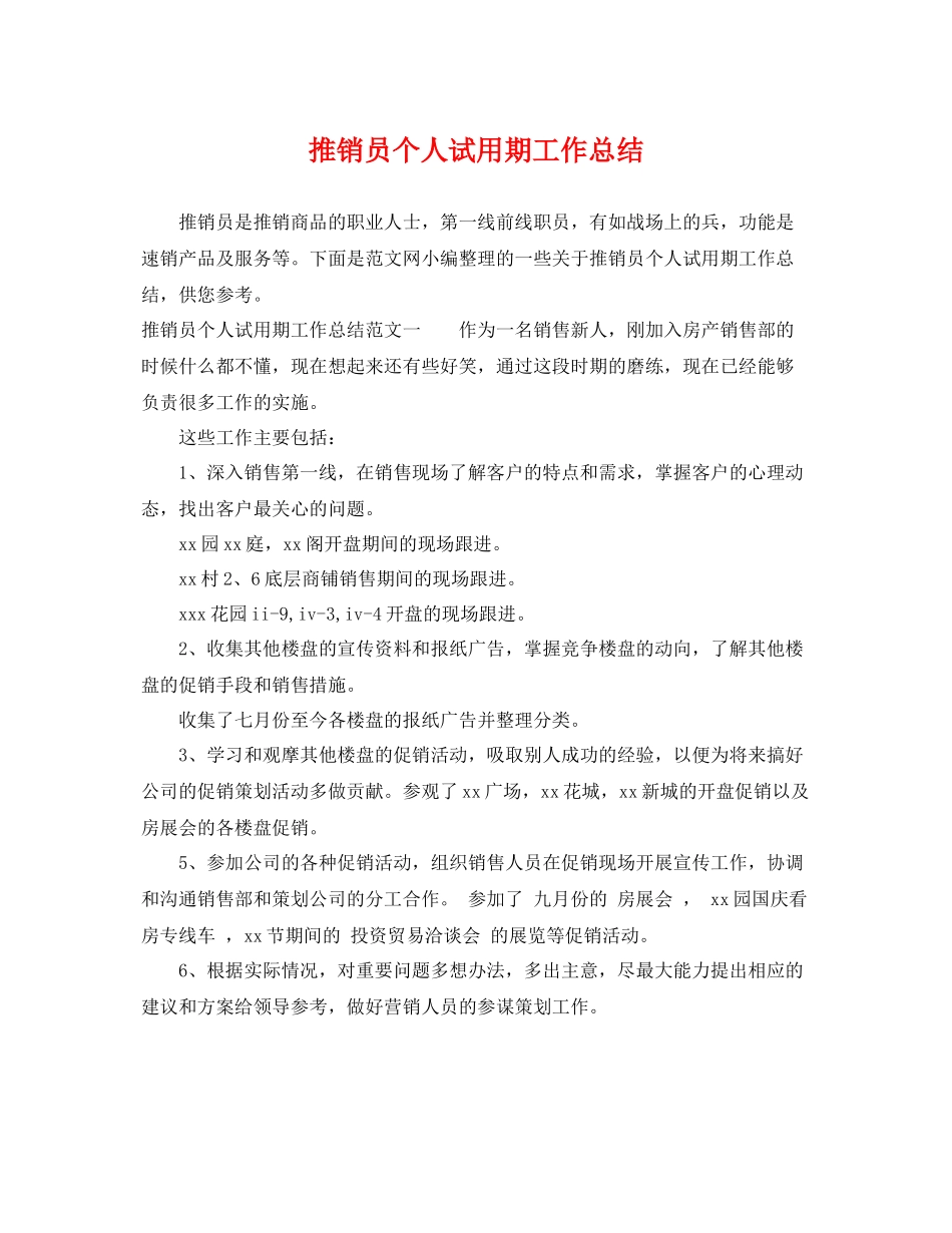 推销员个人试用期工作总结 _第1页