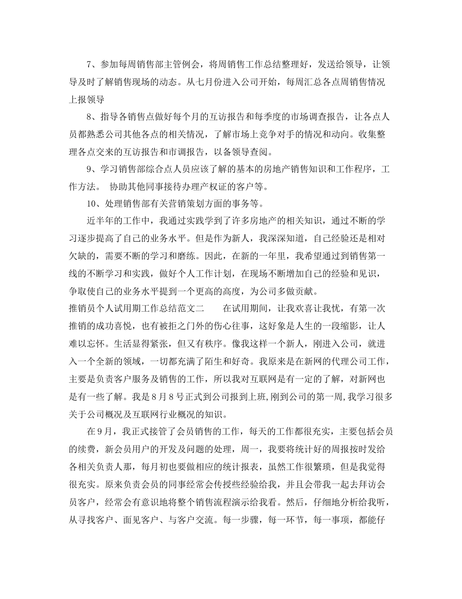 推销员个人试用期工作总结 _第2页