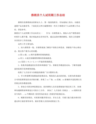 推销员个人试用期工作总结 