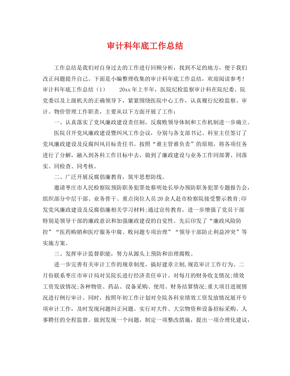 审计科年底工作总结 _第1页