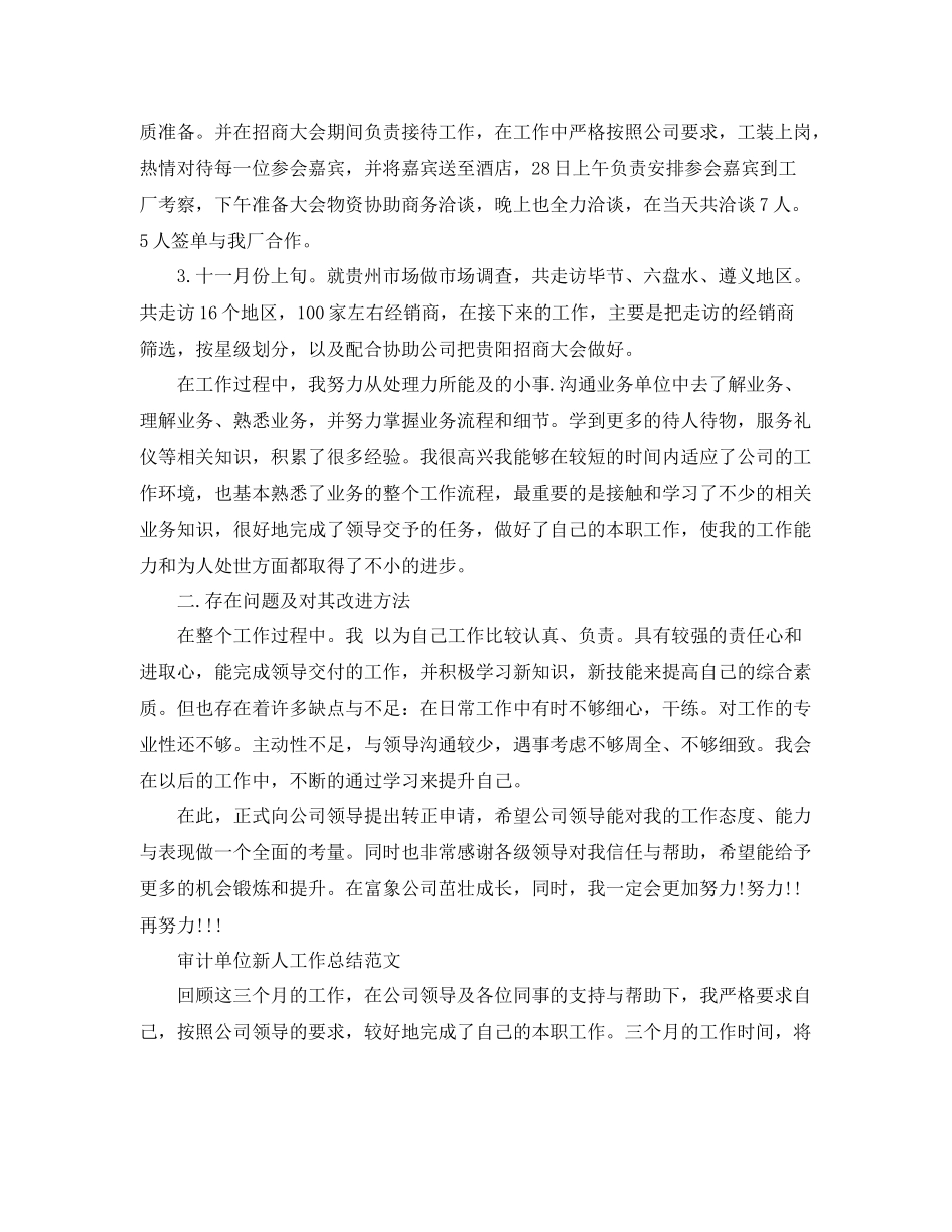 审计单位新人工作总结 _第2页