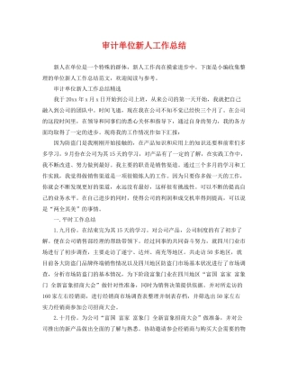 审计单位新人工作总结 
