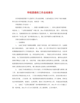 学校团委的工作总结报告 