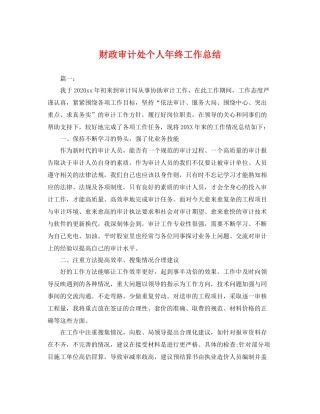 财政审计处个人年终工作总结 