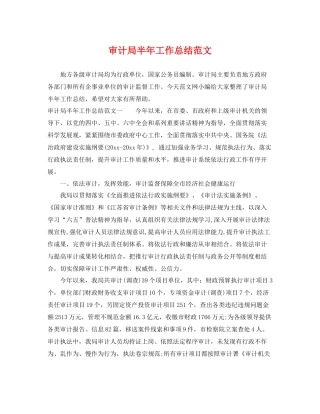 审计局半年工作总结范文 