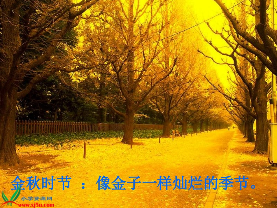 《识字1》PPT课件_第3页