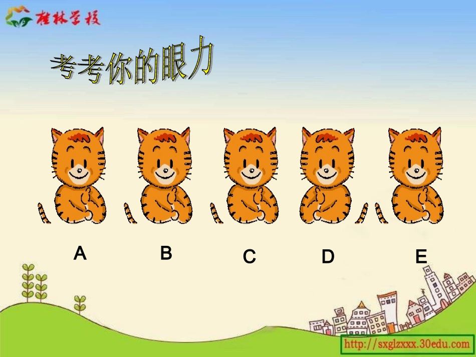 数学广角第二课时_第3页